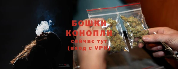 мдпв Дмитров