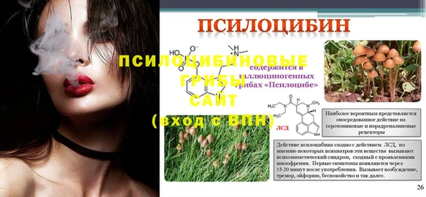 PSILOCYBIN Ельня