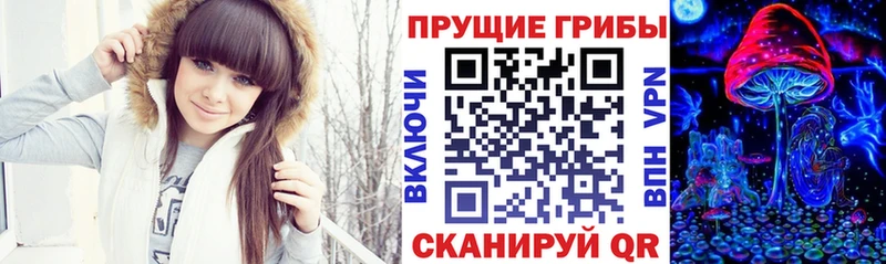 Купить где  Ивдель  Галлюциногенные грибы Magic Shrooms 
